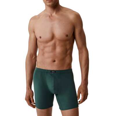 Atlantic szorty long legs 2MH 173 2p gra/zie 2XL