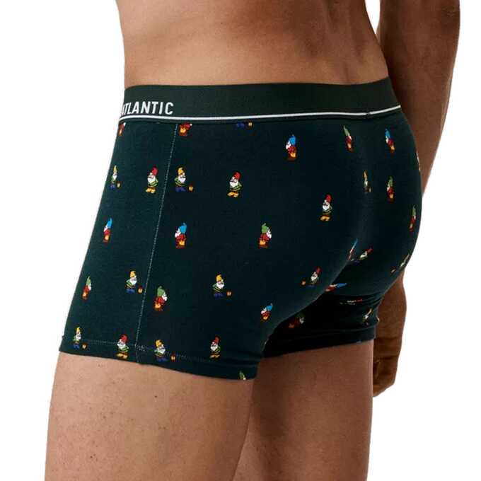 Atlantic szorty 2GMH 031 2p zie/gra L